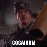 Cocainum