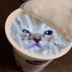 Meowmeeeow
